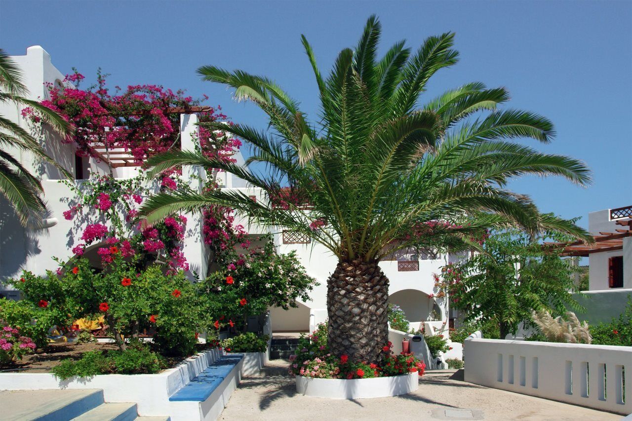 Amoopi Bay Hotel Extérieur photo